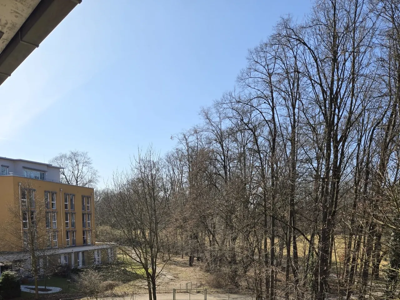 Blick vom Balkon in den Park