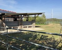 Freifläche mit Futterautomat 1