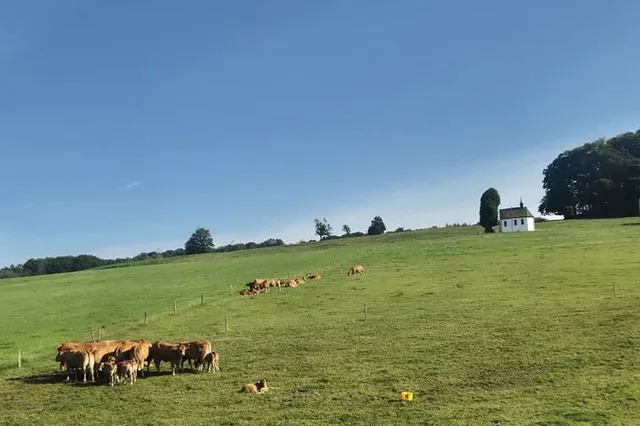 Idyllische Nachbarschaft