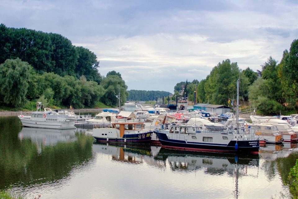 Rheinufer bei Niederkassel im Rhein-Sieg-Kreis