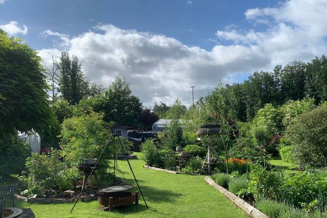 Blick in den Garten