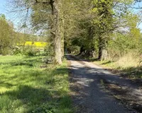 Allee Zufahrt von Hof zur Straße