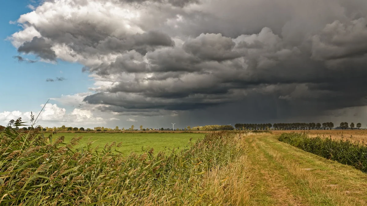 Dunkle Gewitterwolken über einem Feld