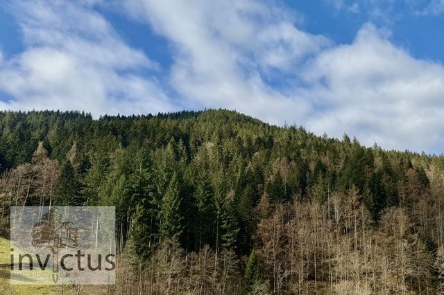 Ausblick in die Wälder