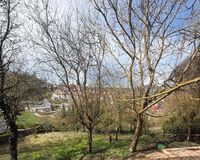 IMG_1193(1)