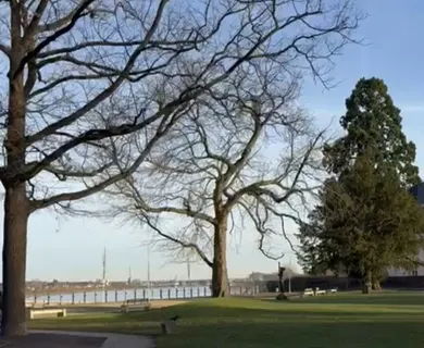 amarc21 – Anlageobjekt mit Faktor 16,7