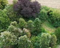 Grundstück