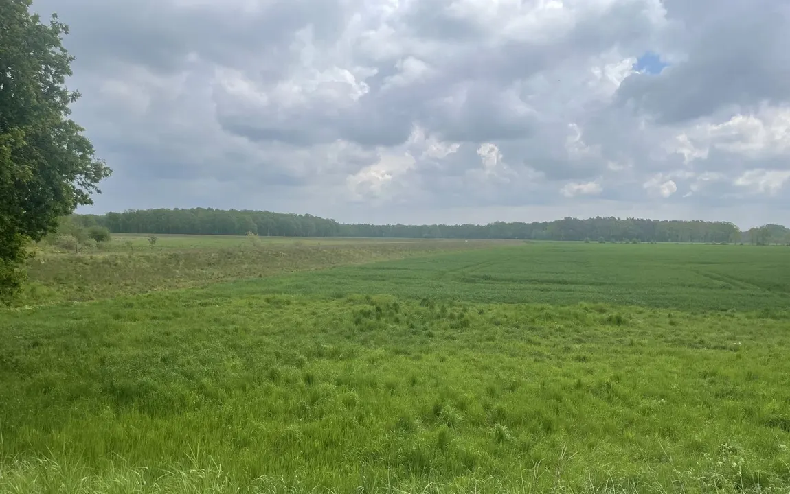 3 bis 50 ha Ackerland zu verkaufen