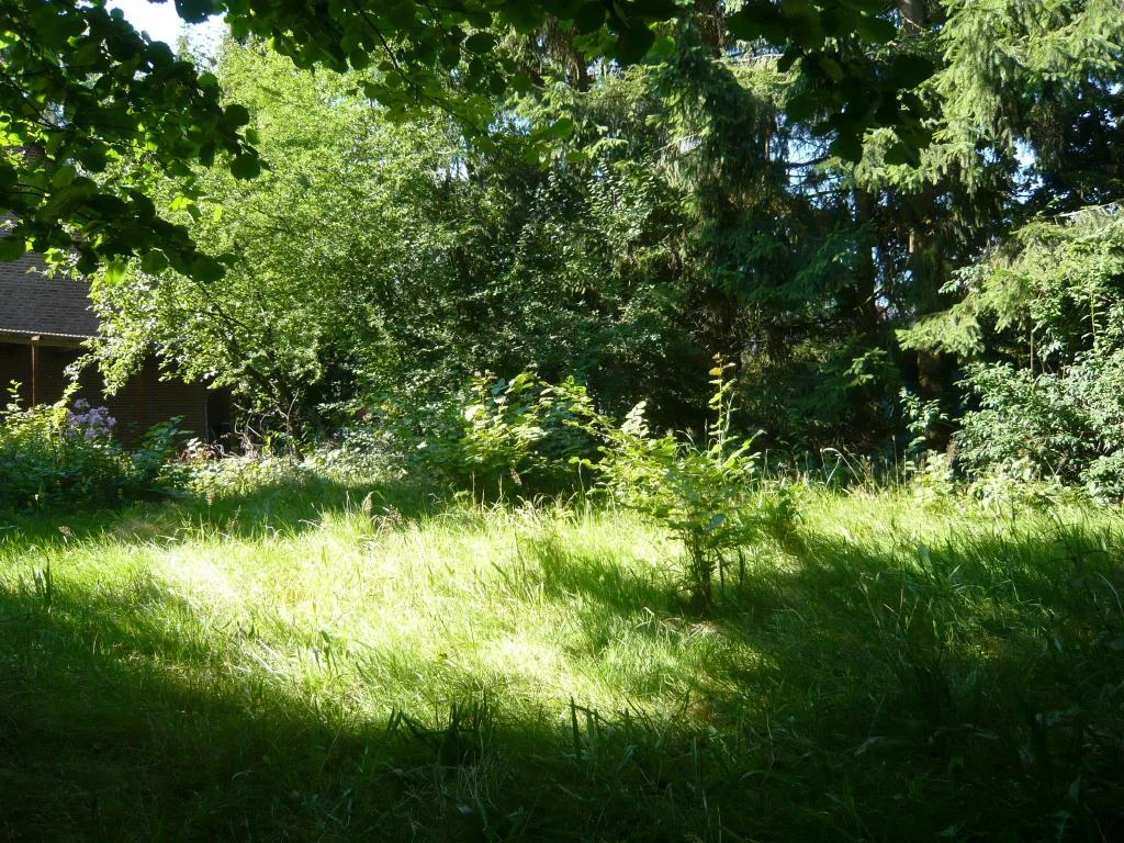 Baugrundstück
