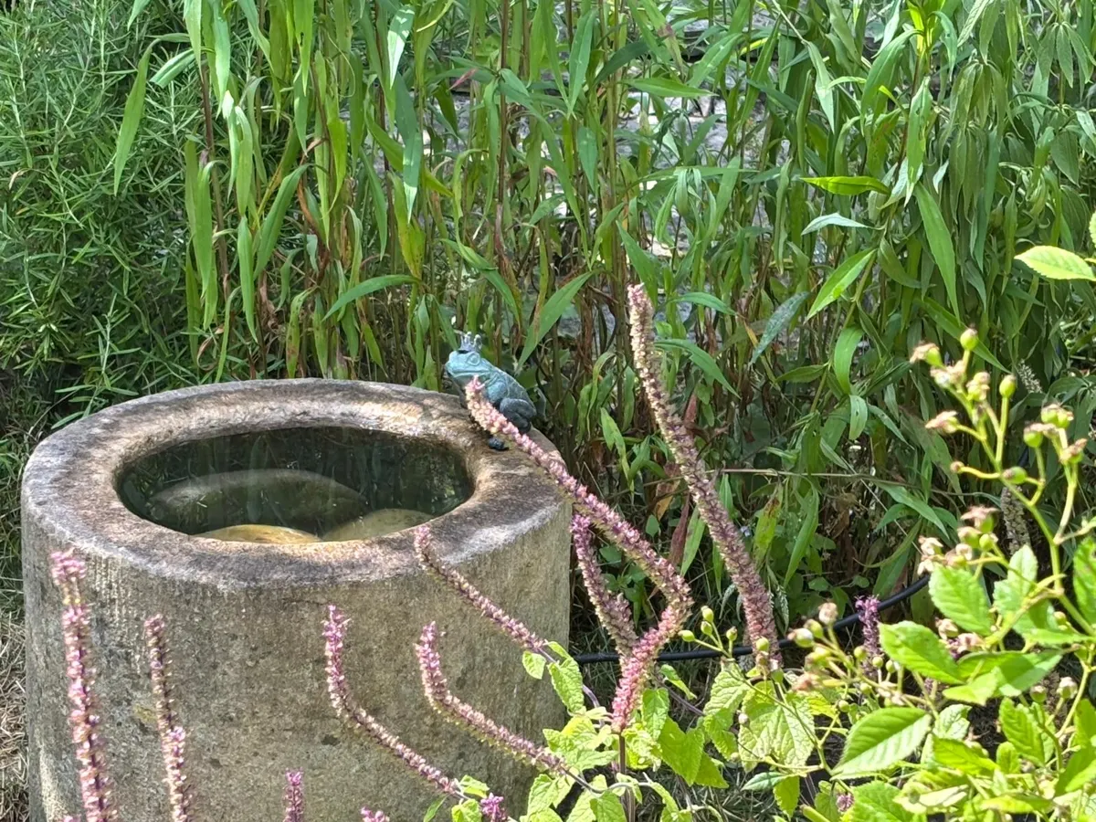 Wasserspiel