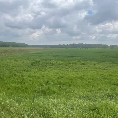 3 bis 50 ha Ackerland zu verkaufen