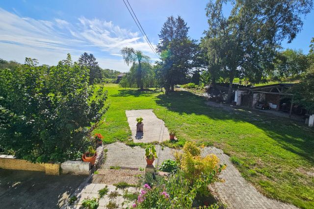 Blick in den Garten