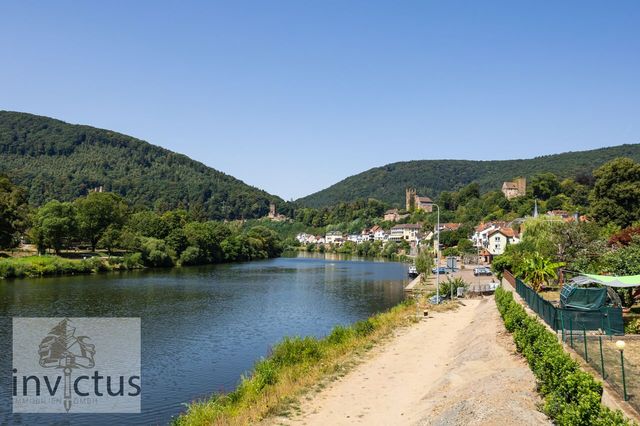 Neckarblick zur Burg