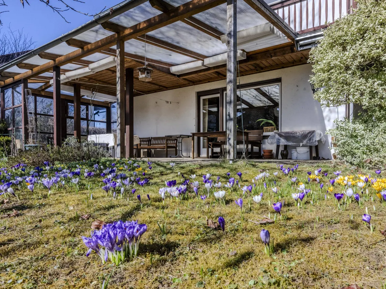 Blumenwiese vor der Terrasse