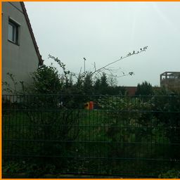 Grundstück mit Abrissobjekt in Münster !