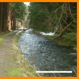 Alleinlage! Pension – Herberge mit 35 Betten! Inklusive ca. 60.000 m² Grund mitten im Wald!