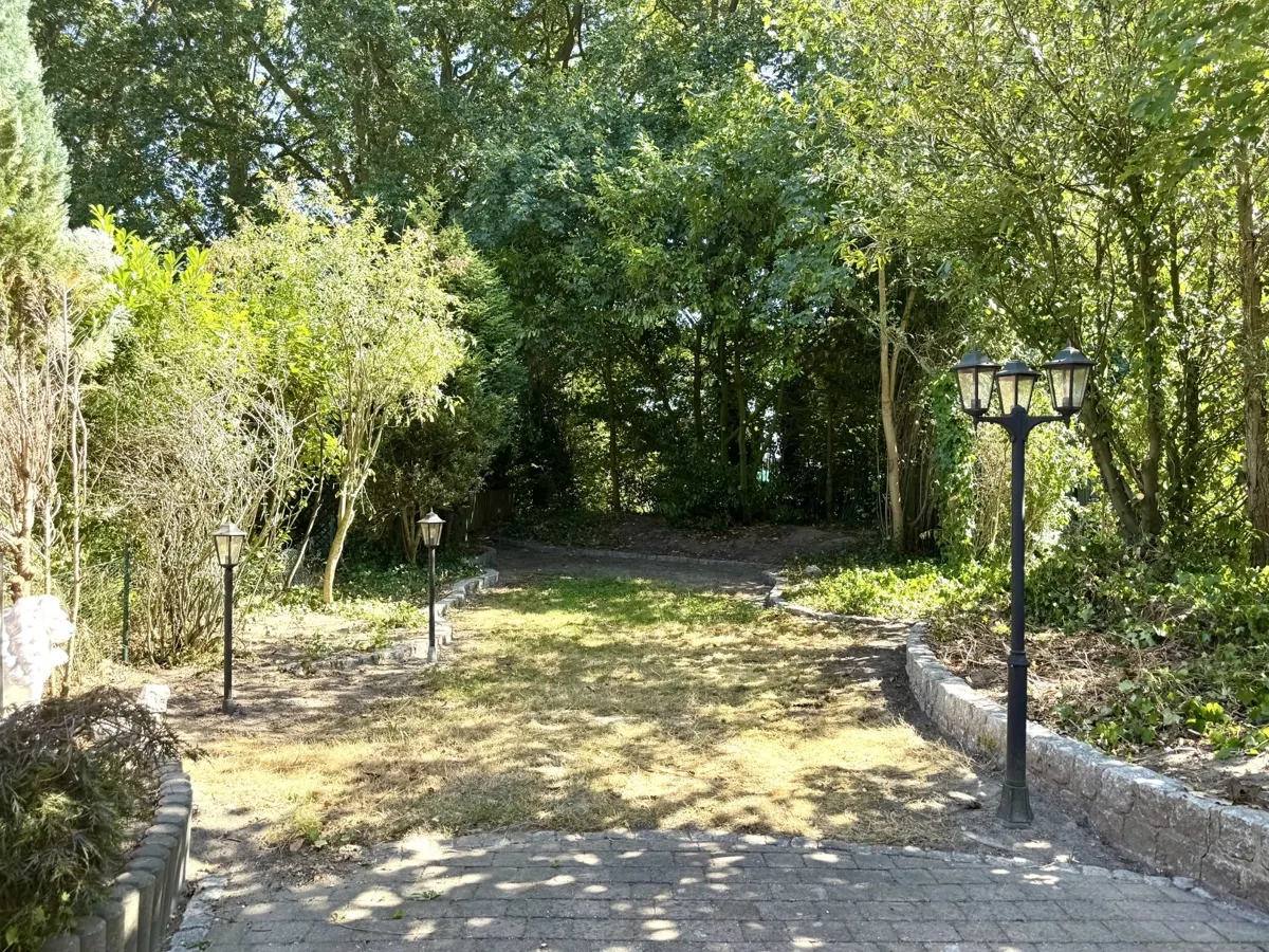 Die idyllische Lage mit Blick in den Wald