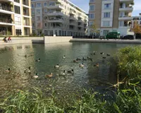 Belsenpark Detail