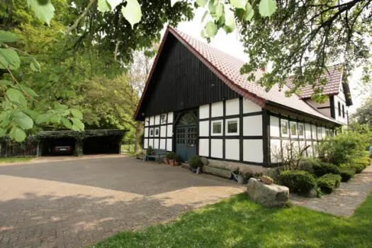 Bild1