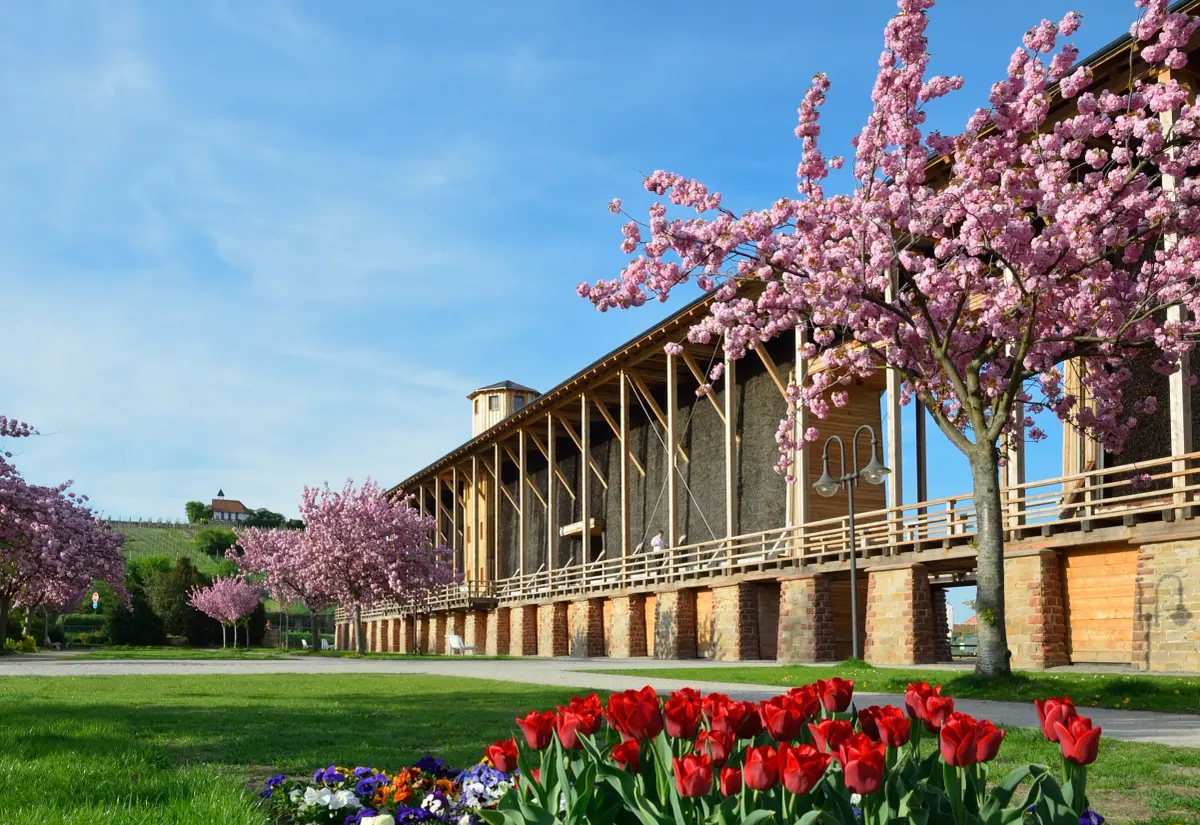 bad-duerkheim-saline-gradierwerk-pfalz Bad Dürkheim in der Vorderpfalz – attraktive Wohnregion für Immobilienkäufer und Eigentümer