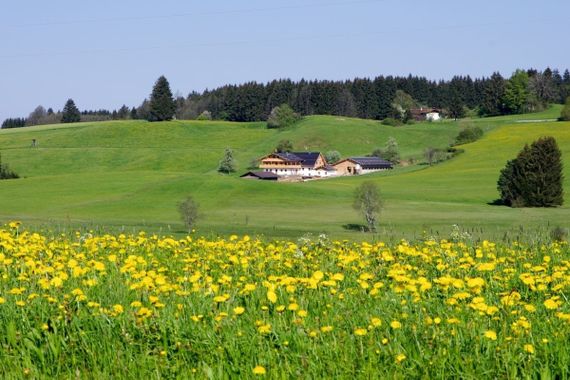 Idyllischer Bergbauernhof mit Panoramablick auf 4 ha in Alleinlage zu verkaufen