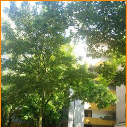 ** Tolle 3 -Zimmerwohnung mit Balkon und Tiefgarage in Köln-Seeberg **