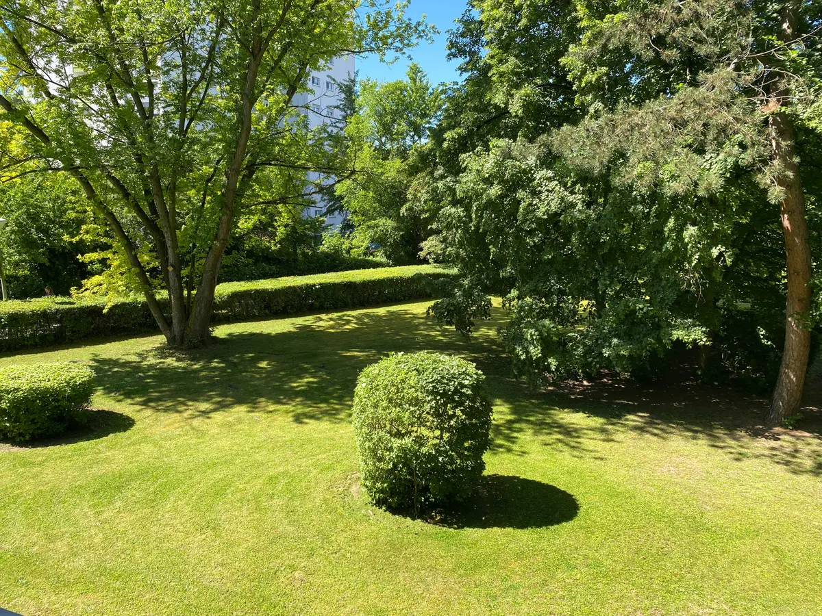 Ausblick aus Küche und Wohnbereich