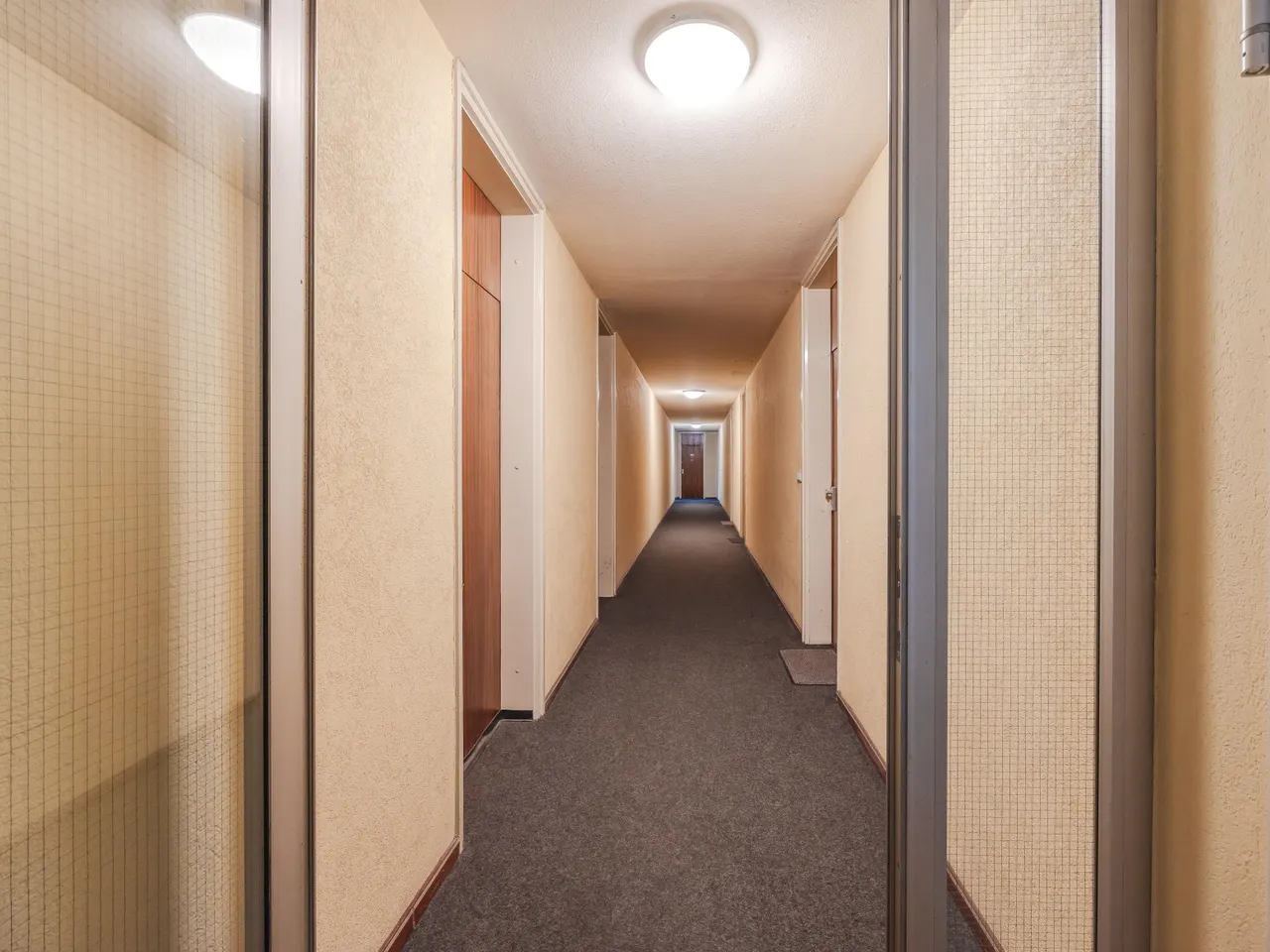 Zugang Wohnung (Treppenhaus)