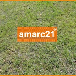 sonniger Bauplatz für Ihr Traumhaus!