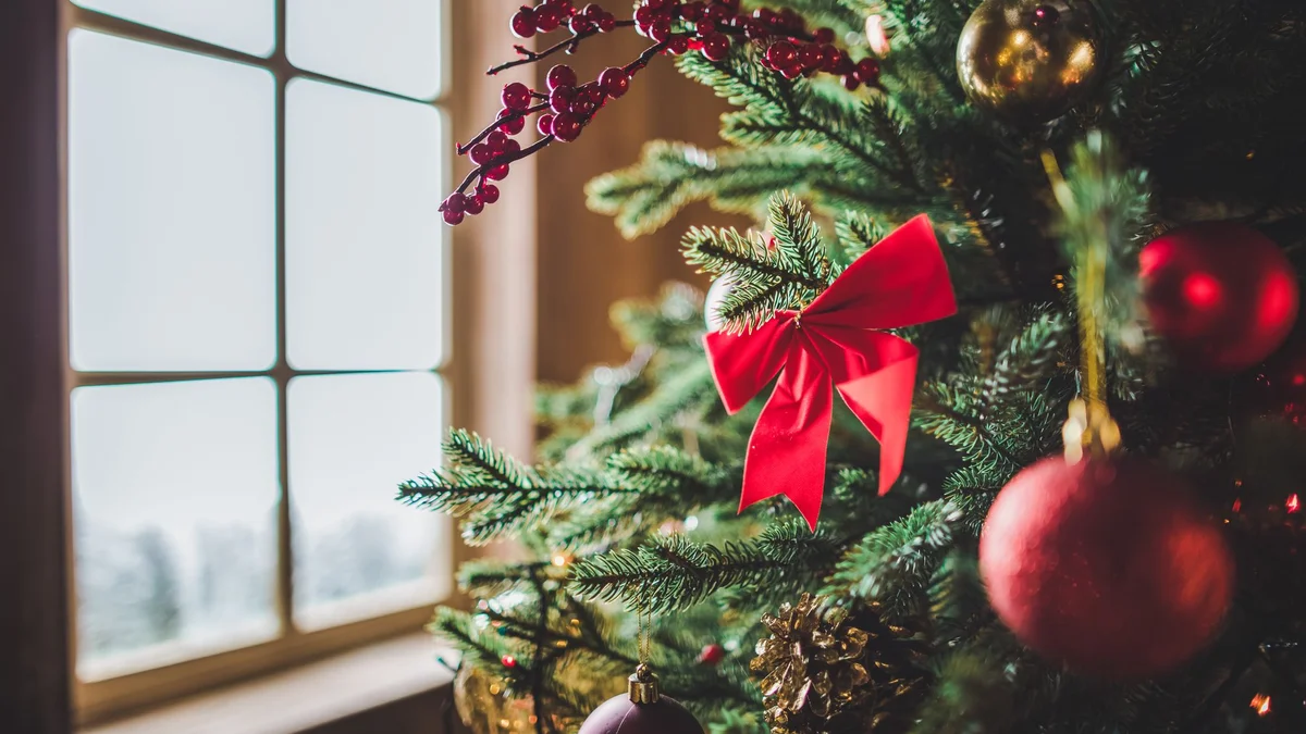 Geschmückter Weihnachtsbaum am Fenster