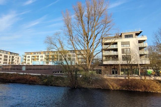 Blick von der Wupper