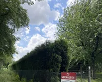 Zufahrt 