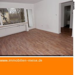 Erstbezug nach Komplettsanierung ! Schicke 4-Zimmerwohnung mit Badewanne und Sonnen-Balkon