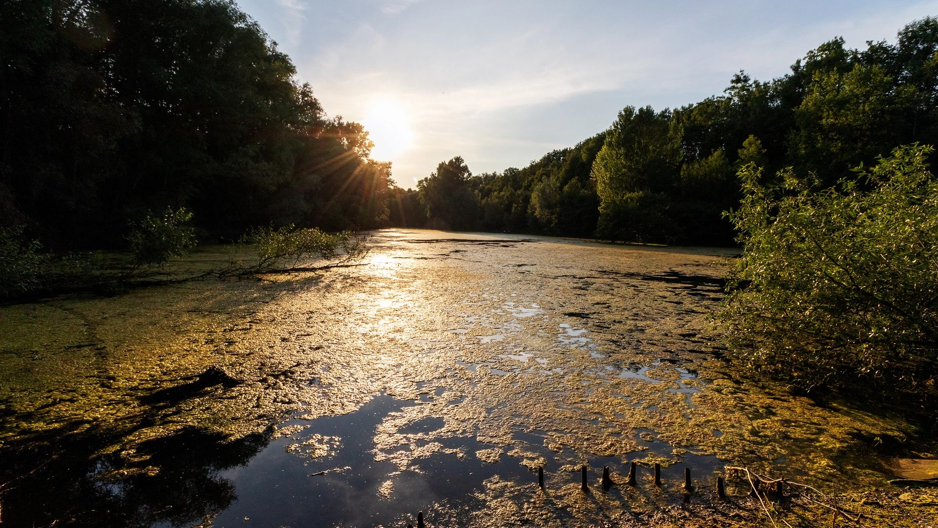 Naturlandschaft bei Troisdorf im Rhein-Sieg-Kreis