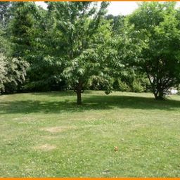 Baugrundstück in Alt-Georgsmarienhütte.