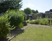 Garten im Sommer