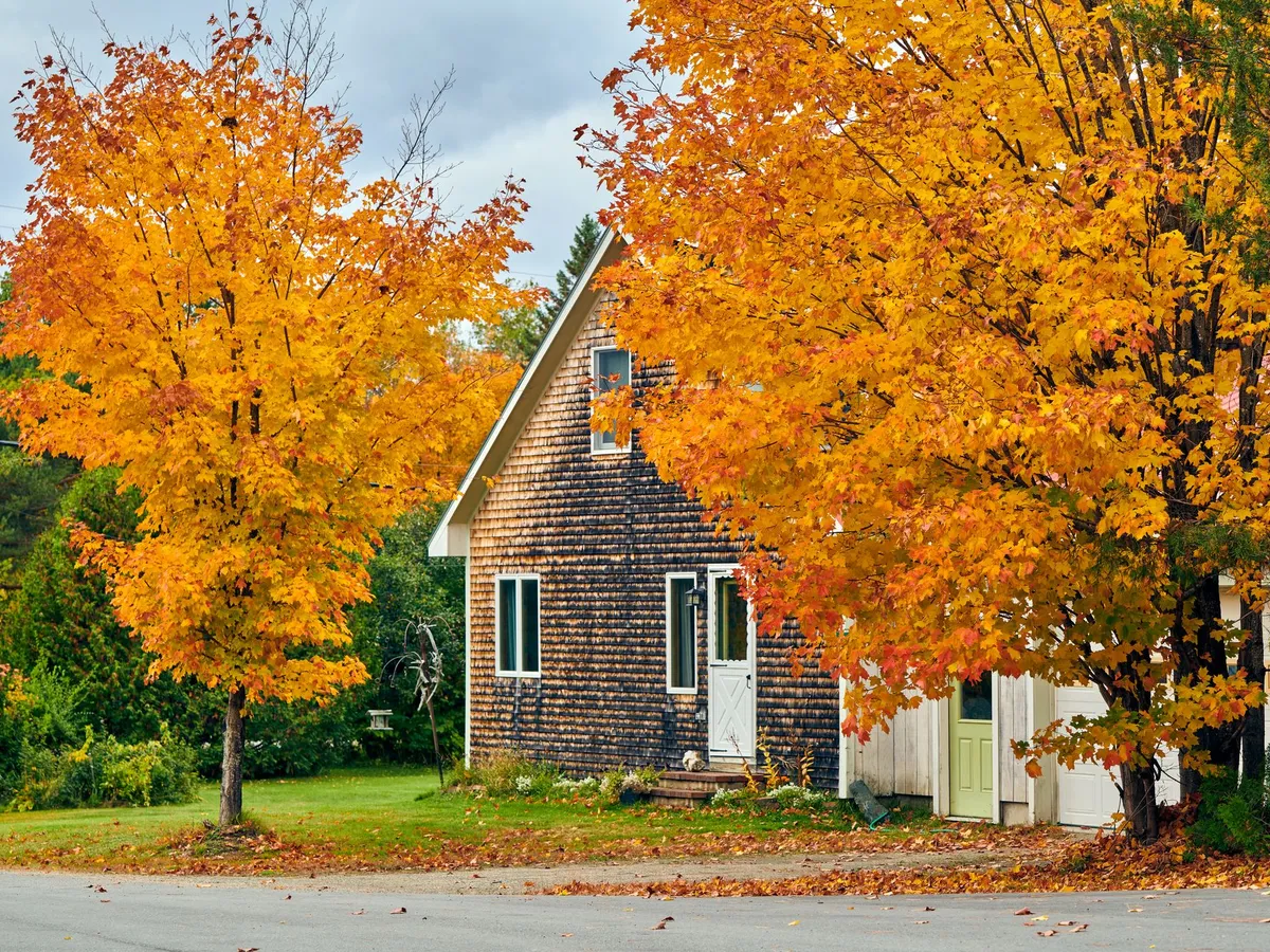 Gartenarbeit im Herbst: Rechte und Pflichten an der Grundstücksgrenze