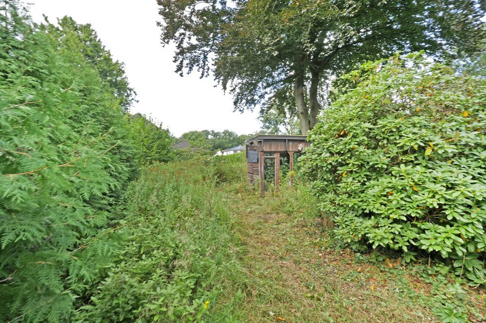 Baugrundstück Rückansicht