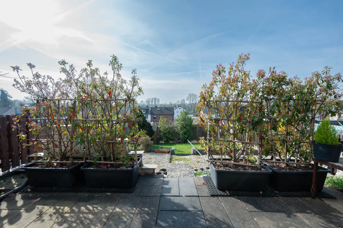 Terrasse/Garten