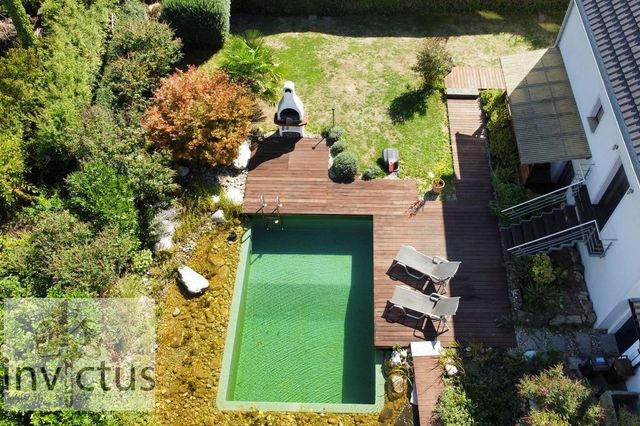 Garten und Naturpoolbereich