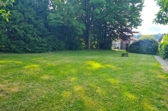 Blick ins Grüne