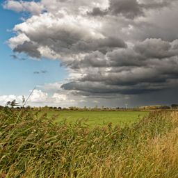 Union und SPD planen Pflicht zur Elementarschadenversicherung