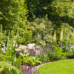 Garten bei Immobilienkauf: Rechte, Pflichten und Bewertung