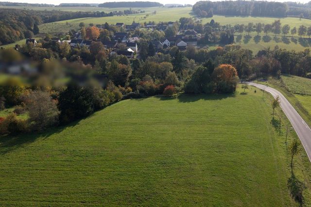 Weidefläche