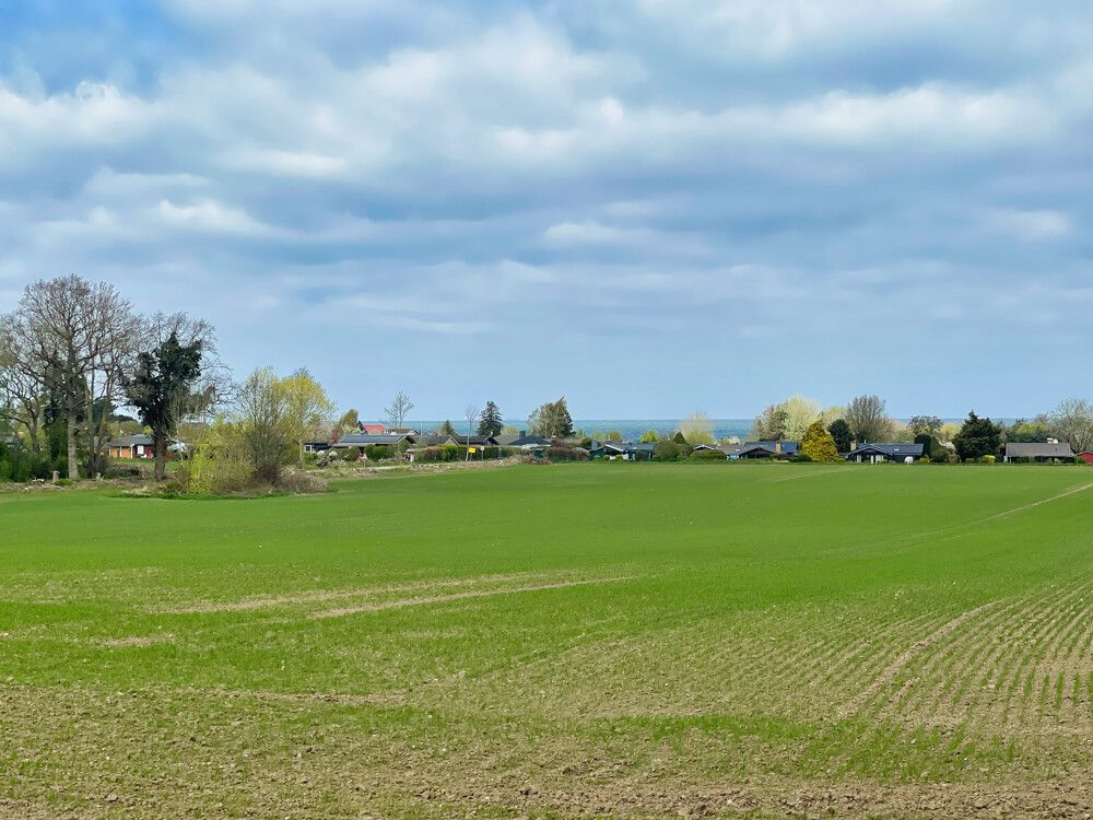 Hofland