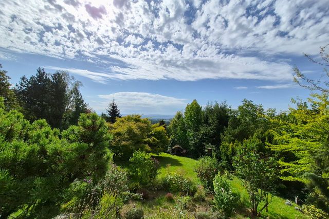 Blick in den Garten