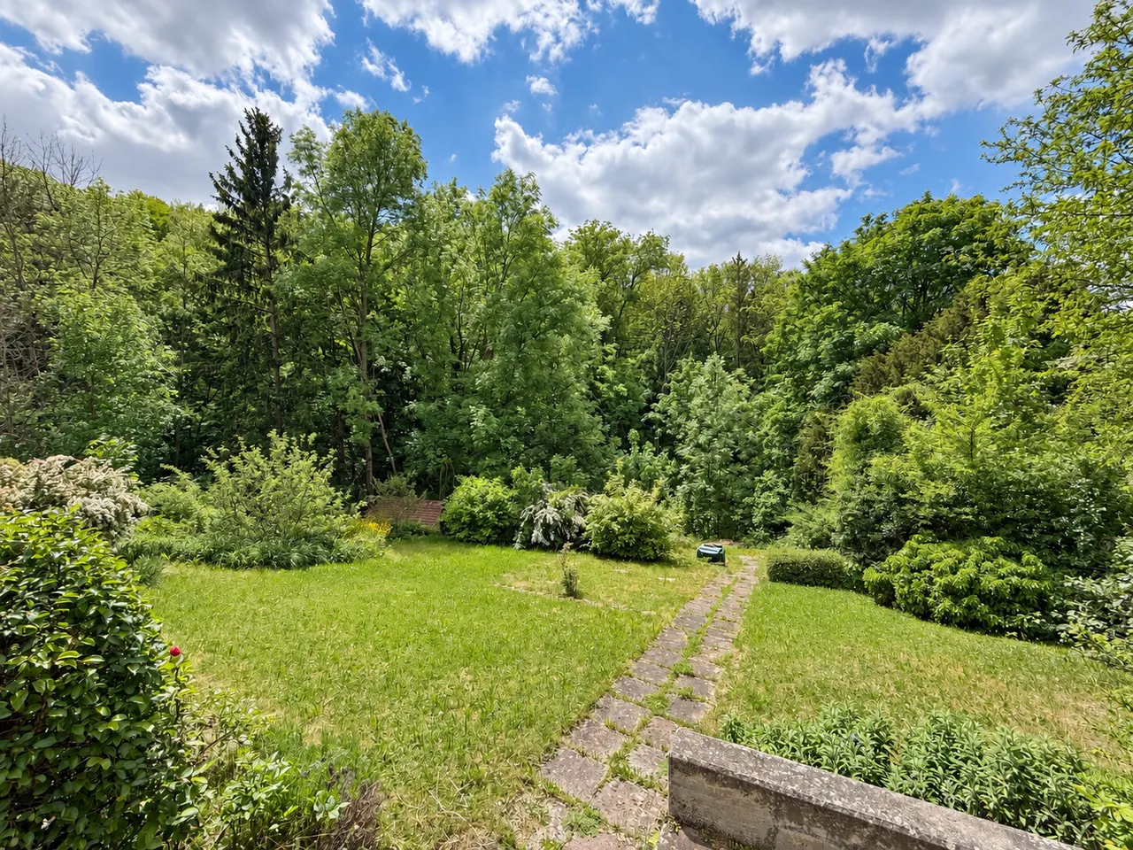 Blick in den Garten