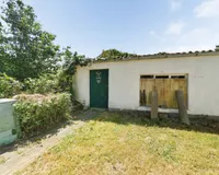 Garten_1