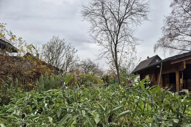 Verwunschener Garten