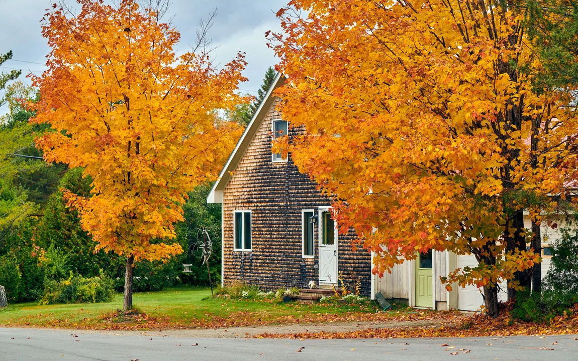 Gartenarbeit im Herbst: Rechte und Pflichten an der Grundstücksgrenze